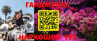 молекула духа Лесосибирск