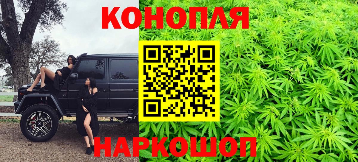 Шишки марихуана конопля  Конопля THC 21%  Марихуана семена  Вход с VPN  Гурьевск 